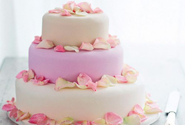 Wedding Yachts Cabo San Lucas, Los Cabos Boat Weddings