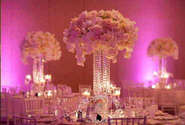 Wedding Yachts Cabo San Lucas, Los Cabos Boat Weddings